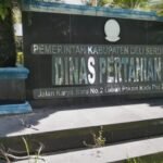 Dinas Pertanian Deli Serdang. 