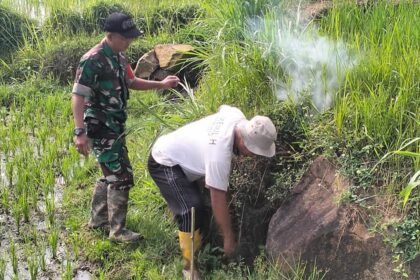 Petani dan TNI di Boyolali berburu tikus sawah, Juni 2025. (koramil 05 ampel/ho/mp)