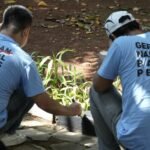 Ratusan klien pemasyarakatan berseragam melakukan aksi kerja sosial di Perkampungan Budaya Betawi, Srengseng Sawah, Jakarta Selatan, (26/6/2025).