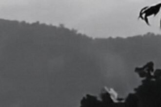 PT. Masmindo mulai aksi tambang emas di Gunung Latimojong di Sulawesi Selatan, Juni 2025.