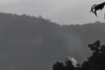 PT. Masmindo mulai aksi tambang emas di Gunung Latimojong di Sulawesi Selatan, Juni 2025.