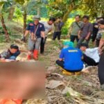 Tragedi mutilasi di Serang, Banten.