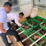 Lembaga Pemasyarakatan (Lapas) Kelas IIA Salemba mengembangkan budidaya maggot, Juli 2025.