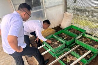 Lembaga Pemasyarakatan (Lapas) Kelas IIA Salemba mengembangkan budidaya maggot, Juli 2025.