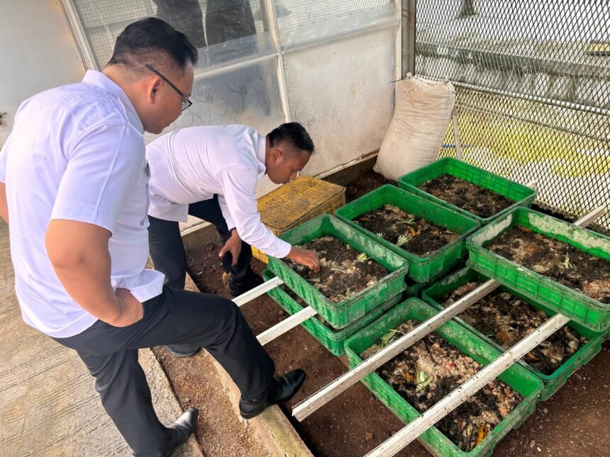 Lembaga Pemasyarakatan (Lapas) Kelas IIA Salemba mengembangkan budidaya maggot, Juli 2025.