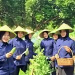 IMG 20250719 WA1114