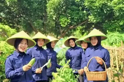 IMG 20250719 WA1114