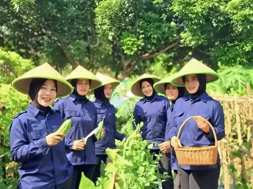 IMG 20250719 WA1114