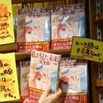 Ketakutan bencana yang dipicu manga viral turunkan kunjungan wisata ke Jepang, Juli 2025.