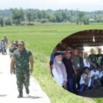 Keterangan foto: Brigjen TNI Wawan Erawan bersama Tim Satgas Swasembada Pangan Kementan RI meninjau lahan program Optimalisasi Lahan (Oplah) di Desa Salo Dua, Kecamatan Maiwa, Enrekang, Kamis, 14 Agustus 2025. Kunjungan juga diisi dialog dengan kelompok tani setempat untuk membahas kendala dan solusi ketahanan pangan.