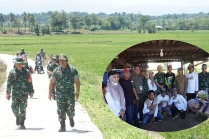 Keterangan foto: Brigjen TNI Wawan Erawan bersama Tim Satgas Swasembada Pangan Kementan RI meninjau lahan program Optimalisasi Lahan (Oplah) di Desa Salo Dua, Kecamatan Maiwa, Enrekang, Kamis, 14 Agustus 2025. Kunjungan juga diisi dialog dengan kelompok tani setempat untuk membahas kendala dan solusi ketahanan pangan.