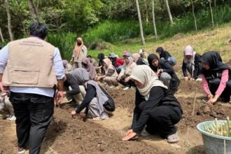 Mahasiswa PPK Ormawa Himakaha Fakultas Kedokteran Universitas Hasanuddin menanam stek hijauan pakan ternak di Desa Pattiro Deceng, Maros, Sulawesi Selatan, Sabtu, 9 Agustus 2025. Kegiatan ini menjadi bagian dari peluncuran Lahan Hijauan Pakan Ternak untuk mendukung keberlanjutan peternakan desa.