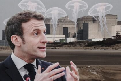 Presiden Prancis Emmanuel Macron di latar depan PLTN Gravelines, yang baru-baru ini padam total akibat serbuan ubur-ubur besar menyumbat sistem pendingin.