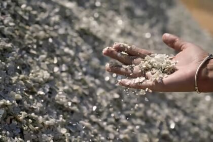 Seorang pekerja memperlihatkan hasil olahan limbah elektronik yang mengandung mineral penting. Pemerintah India meluncurkan skema senilai ₹1.500 crore untuk mendorong daur ulang limbah baterai dan elektronik guna mengurangi ketergantungan pada impor mineral dari Tiongkok. (livemint/@sanjoychakra/ho/mp)
