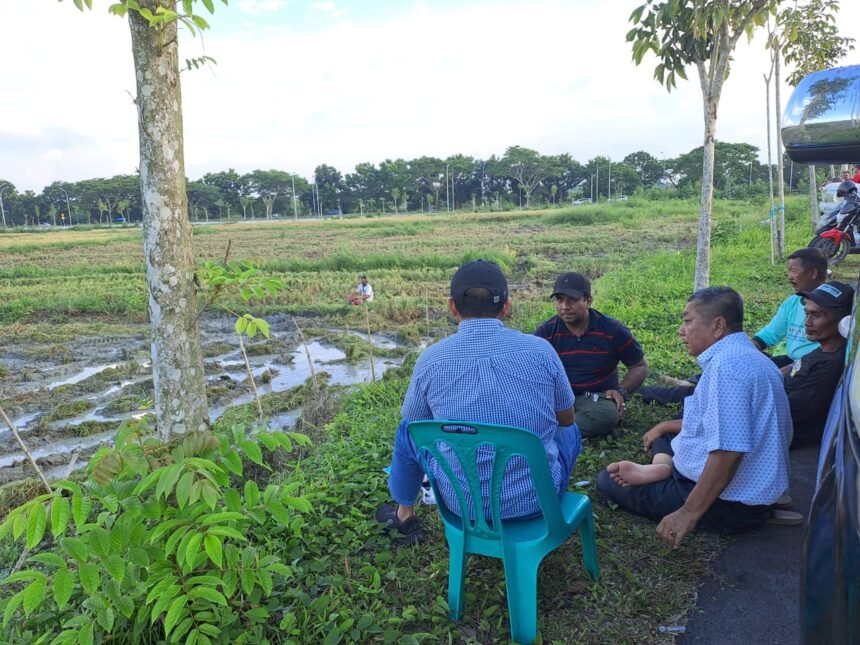 Petani dan pengurus Tani Merdeka Indonesia Deli Serdang berdiskusi di tepi areal panen raya di Desa Sena, Deli Serdang, Rabu (3/9/2025). Program Demplot Tani Merdeka memanfaatkan lahan tidur menjadi produktif untuk mendukung ketahanan pangan.