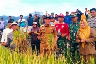 Bupati Enrekang, Muh. Yusuf Ritangnga, memotong padi perdana bersama warga pada panen raya di Desa Buttu Batu, Kecamatan Enrekang, Selasa, 16 September 2025. Dalam kesempatan itu, pemerintah daerah menyerahkan bantuan mesin pertanian kepada petani setempat.