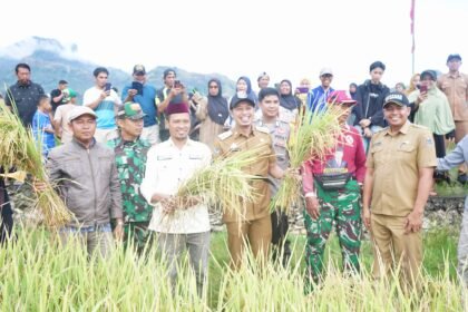 Pemkab Enrekang bersama petani dan aparat setempat saat panen padi, simbol komitmen pemerintah daerah memperkuat ketahanan pangan melalui program Jaminan Gagal Panen.