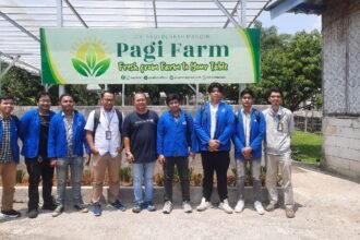 Urban Farming Bertenaga Surya: Jalan Baru Menuju Ketahanan Pangan Kota 21 Kegiatan PkM Tim Universitas Pertamina yang dilakukan oleh dosen beserta mahasiswa di pertanian modern PagiFarm, Bogor, Jawa Barat.