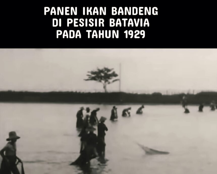 Ikan bandeng bagi masyarakat Betawi bukan sekadar pangan, tapi lambang keberuntungan dan kemakmuran yang diwariskan lintas generasi. (Indonesia Masa Lampau/HO)