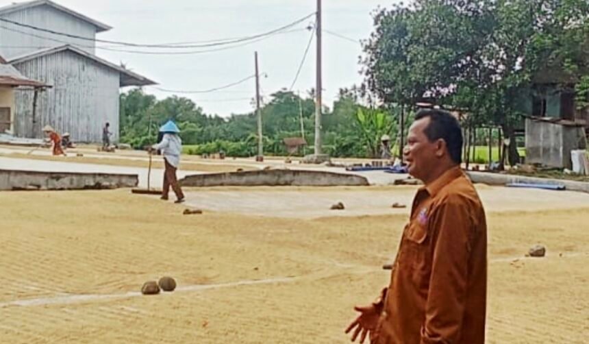 Modal Rp100 Ribu Menjadi 40 Ton Beras per Hari: Ketulusan yang Menumbuhkan Gowa 1 H. Baharuddin Dg. Ampang meninjau proses penjemuran gabah di area pabrik Palampang Agung, Gowa — simbol kerja keras dan ketulusan yang menumbuhkan ekonomi warga sekitar, Rabu (29/10/2025).