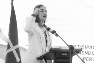 Ketua Pemuda Katolik Sulawesi Selatan, Erika Tansil, S.H.