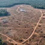 Screenshot 20251129 083555 WhatsApp