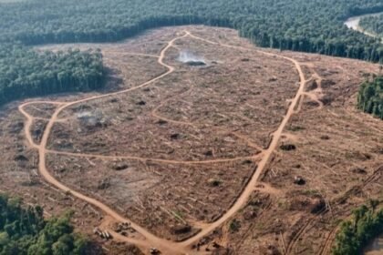 Screenshot 20251129 083555 WhatsApp