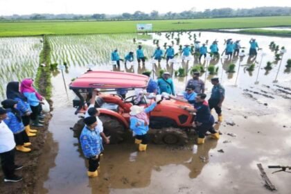 Petani dan pemangku kepentingan mengikuti uji tanam padi biosalin di lahan pesisir Jepara, Jawa Tengah, sebagai upaya mengatasi dampak intrusi air laut dan perubahan iklim terhadap ketahanan pangan.