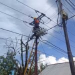 Petugas PLN ULP Mako melakukan pemeliharaan jaringan listrik demi meningkatkan keandalan pasokan, Senin (15/12/2025).