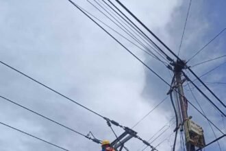 Petugas PLN ULP Mako melakukan pemeliharaan jaringan listrik demi meningkatkan keandalan pasokan, Senin (15/12/2025).