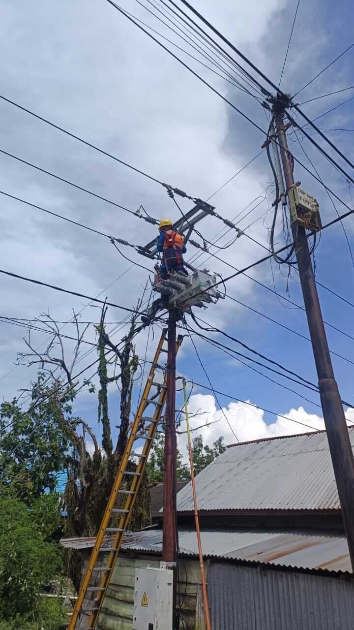 Petugas PLN ULP Mako melakukan pemeliharaan jaringan listrik demi meningkatkan keandalan pasokan, Senin (15/12/2025).