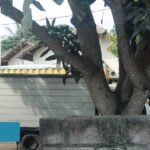 Diduga penimbunan solar subsidi, kendaraan pengangkut terlihat keluar-masuk gudang di wilayah Kramatwatu, Serang.