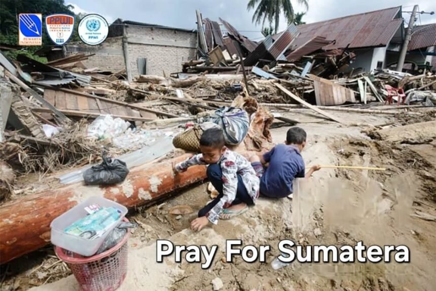 wmremove transformed 1