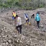 Personel Polri bersama warga melakukan penanaman jagung di lahan binaan sebagai bagian dari program ketahanan pangan Polda Sulsel, Kamis (5/2/2026).