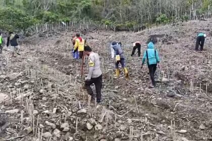 Personel Polri bersama warga melakukan penanaman jagung di lahan binaan sebagai bagian dari program ketahanan pangan Polda Sulsel, Kamis (5/2/2026).