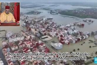 Screenshot 20260213 180746 WhatsApp