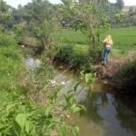 Warga menunjukkan kondisi saluran drainase di Dusun Lebang, Desa Lebang, Kecamatan Cendana, Kabupaten Enrekang, yang menjadi sorotan masyarakat terkait proyek dana desa yang dinilai belum tuntas.