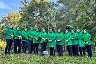 Persit KCK Cabang XLIII Kofim 1419/Enrekang melakukan penanaman pohon dalam rangka HUT ke-80 Persit KCK 2026 sebagai bentuk kepedulian terhadap kelestarian lingkungan dan penghijauan berkelanjutan di Kabupaten Enrekang. 🌱🌳