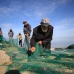 Nelayan Palestina memperbaiki jaring di pesisir Gaza di tengah pembatasan melaut dan menurunnya hasil tangkapan pascaperang.