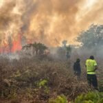 Caption: Prajurit TNI bersama warga berjibaku memadamkan kebakaran hutan dan lahan di Distrik Meyado, Teluk Bintuni, Papua Barat, guna mencegah api meluas ke perkebunan dan permukiman.