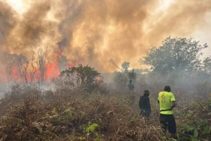Caption: Prajurit TNI bersama warga berjibaku memadamkan kebakaran hutan dan lahan di Distrik Meyado, Teluk Bintuni, Papua Barat, guna mencegah api meluas ke perkebunan dan permukiman.