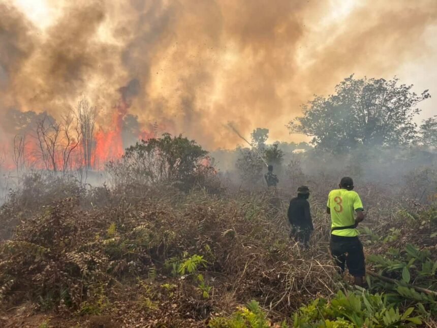 Caption: Prajurit TNI bersama warga berjibaku memadamkan kebakaran hutan dan lahan di Distrik Meyado, Teluk Bintuni, Papua Barat, guna mencegah api meluas ke perkebunan dan permukiman.