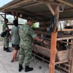 Sertu Dwi Priyanto berdialog dengan peternak kambing di Desa Dukuh, Sragen, untuk mengingatkan pentingnya menjaga kebersihan kandang.