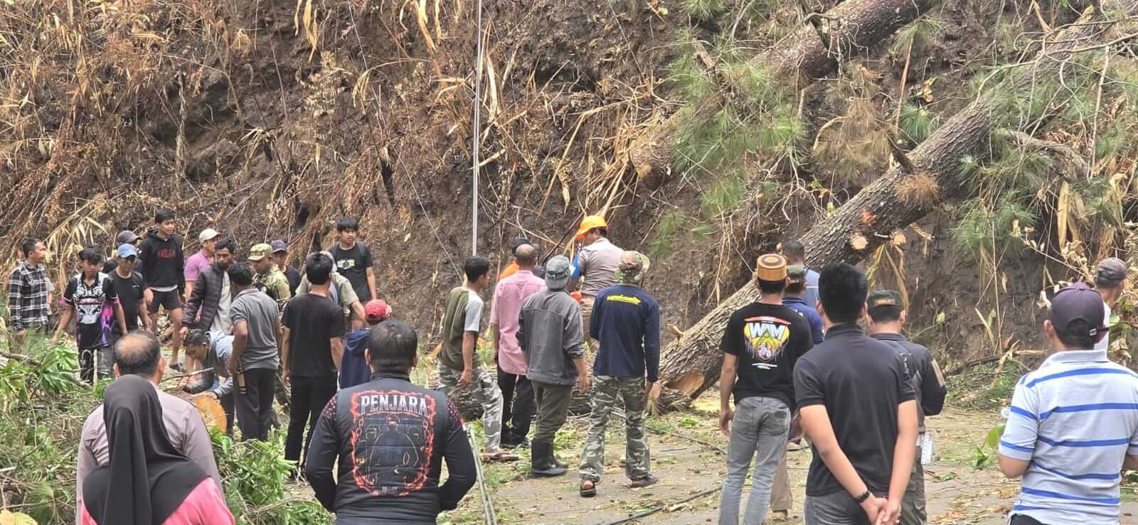 Pohon Pinus Tumbang Putuskan Jalan Poros Malino, Antrean Kendaraan Capai Satu Kilometer 2 Personel Polsek Tinggimoncong bersama warga mengevakuasi pohon pinus tumbang yang menutup Jalan Poros Malino–Benteng Tinggia, Sabtu (31/10/2026).